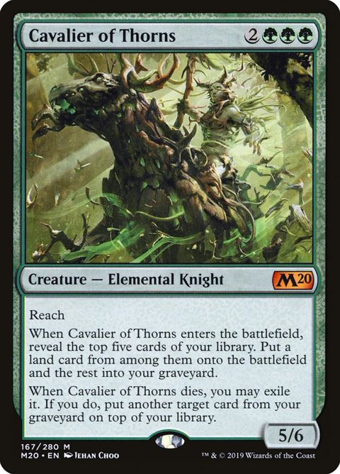 167-cavalierofthorns