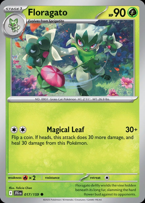 17-floragato