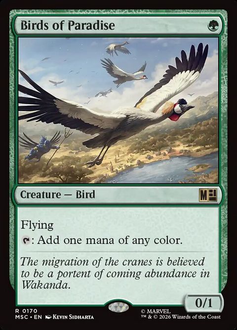 170-birdsofparadise