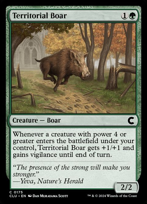 175-territorialboar