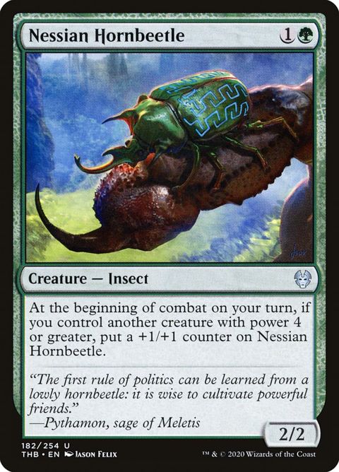 182-nessianhornbeetle