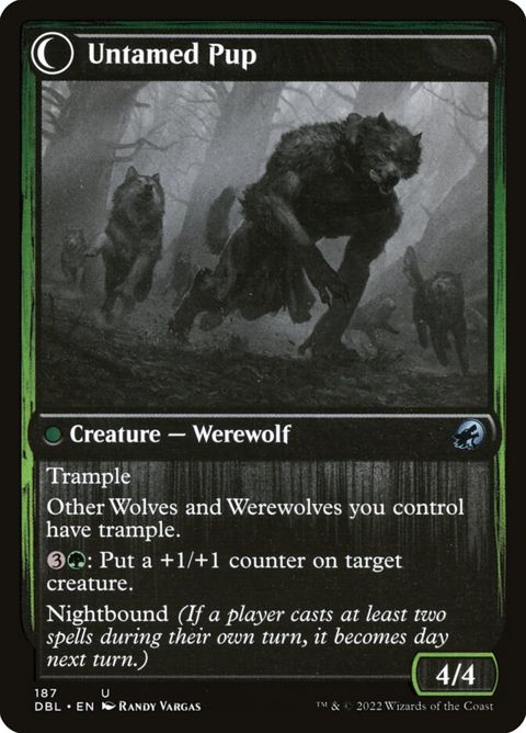 187-houndtameruntamedpup