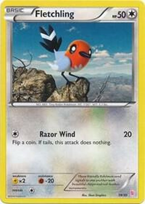 19-fletchling