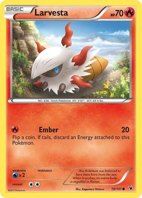 19-larvesta