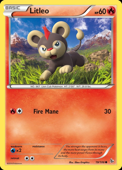 19-litleo