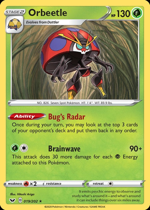 19-orbeetle