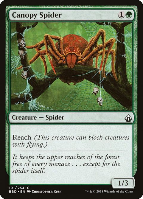 191-canopyspider