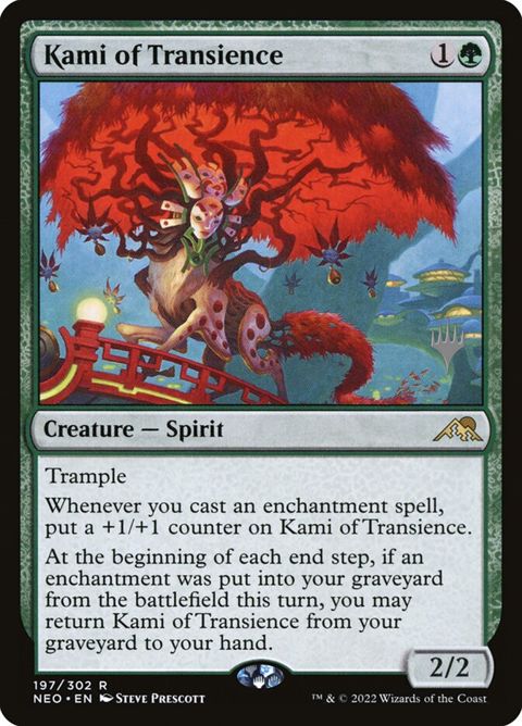 197p-kamioftransience