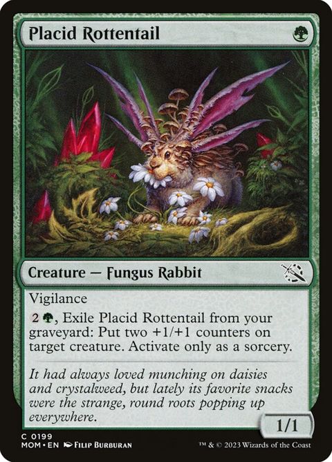 199-placidrottentail