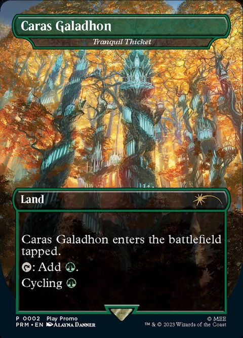 2-tranquilthicket