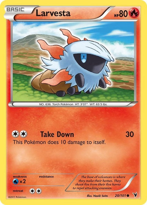 20-larvesta