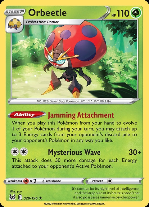 20-orbeetle