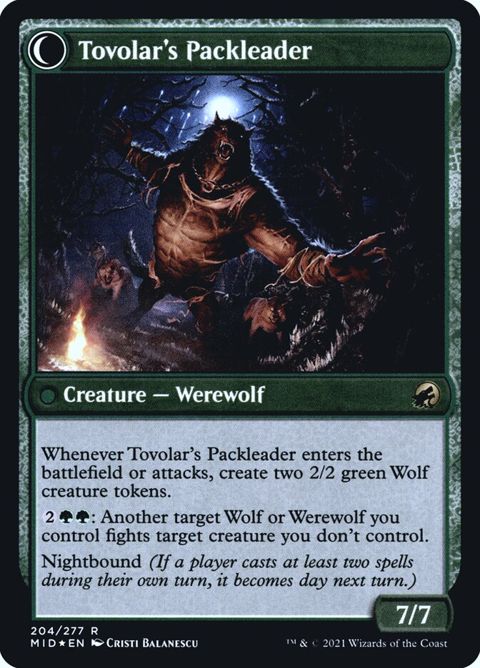 204s-tovolarshuntmastertovolarspackleader-b