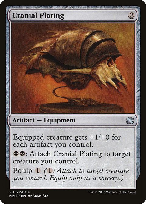 206-cranialplating