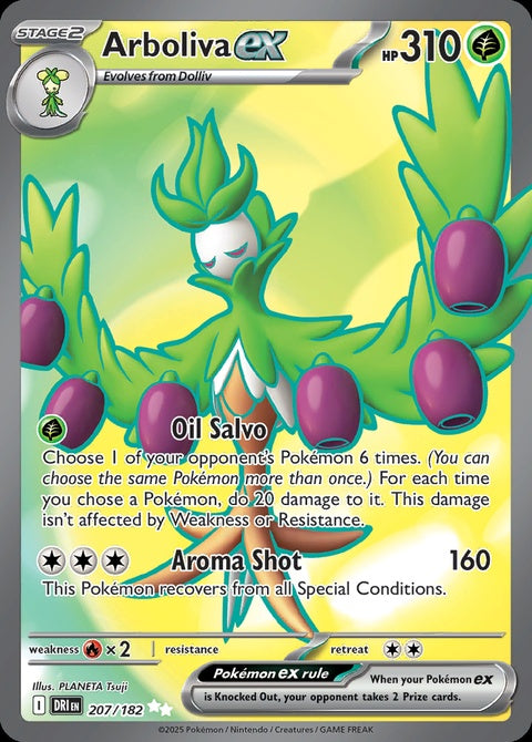 207-arbolivaex
