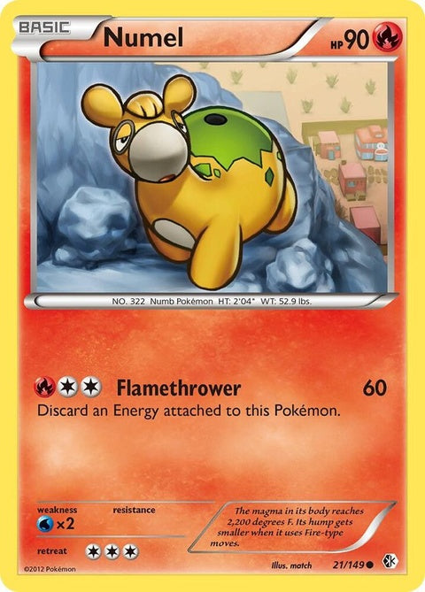 21-numel