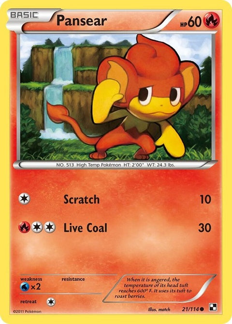 21-pansear