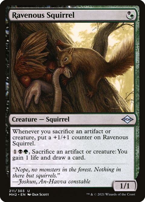 211-ravenoussquirrel