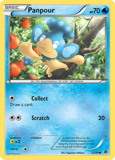 22-panpour