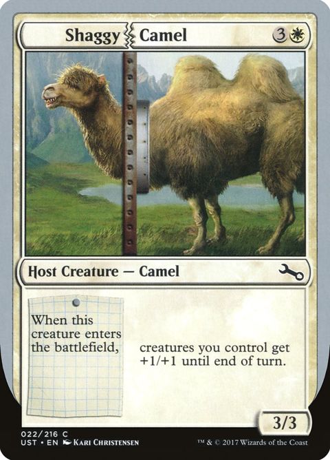 22-shaggycamel