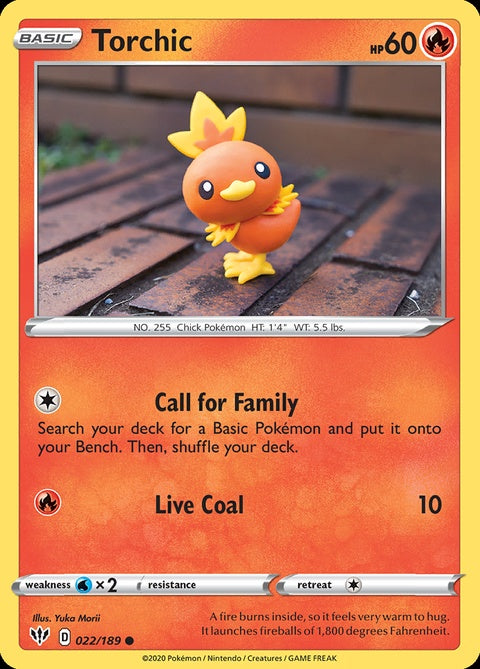 22-torchic