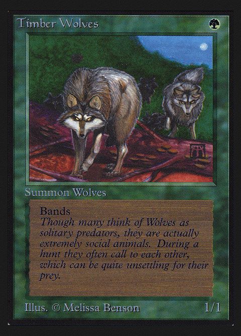 220-timberwolves