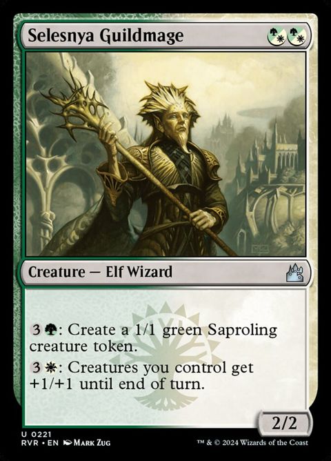 221-selesnyaguildmage