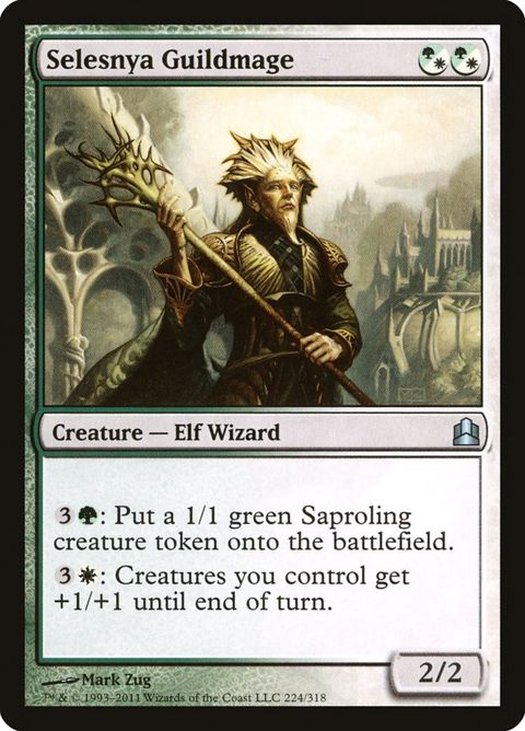 224-selesnyaguildmage