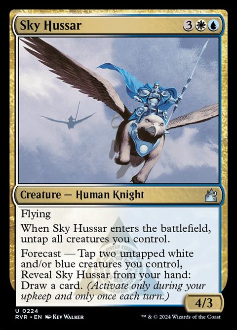 224-skyhussar