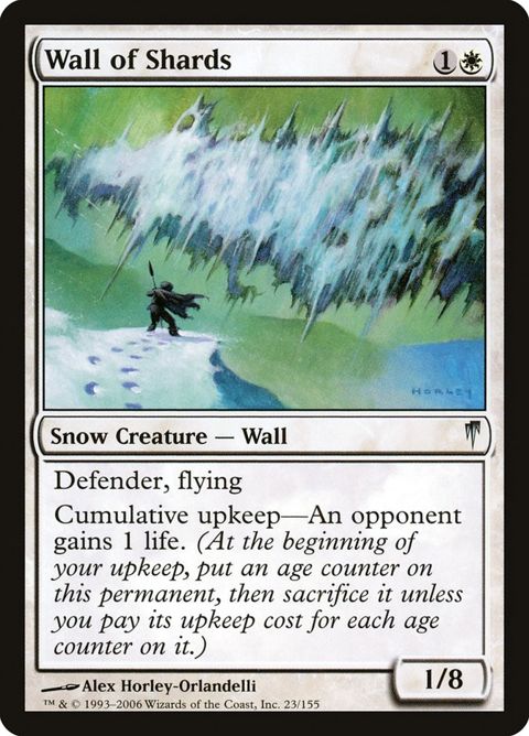 23-wallofshards