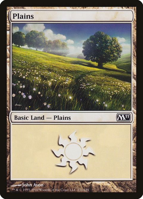 231-plains