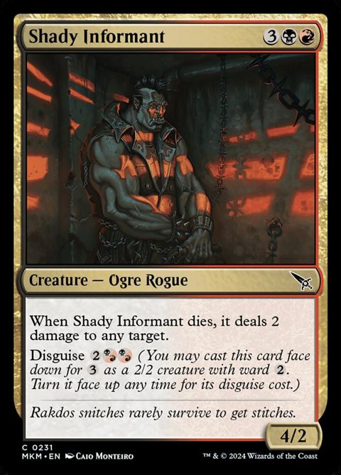 231-shadyinformant