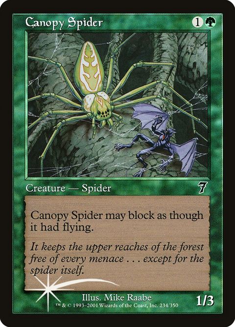 234★-canopyspider