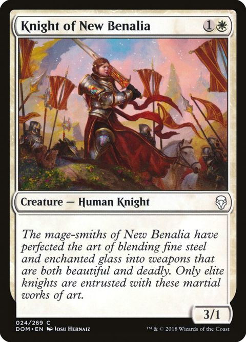 24-knightofnewbenalia