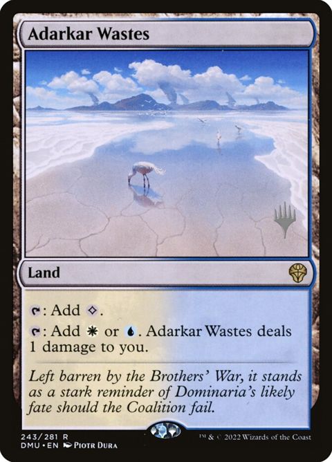 243p-adarkarwastes