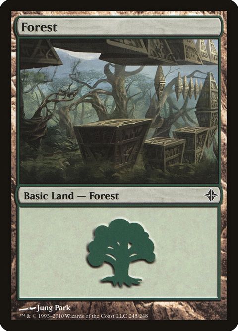 245-forest