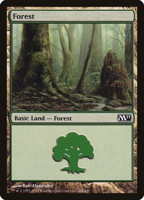 246-forest