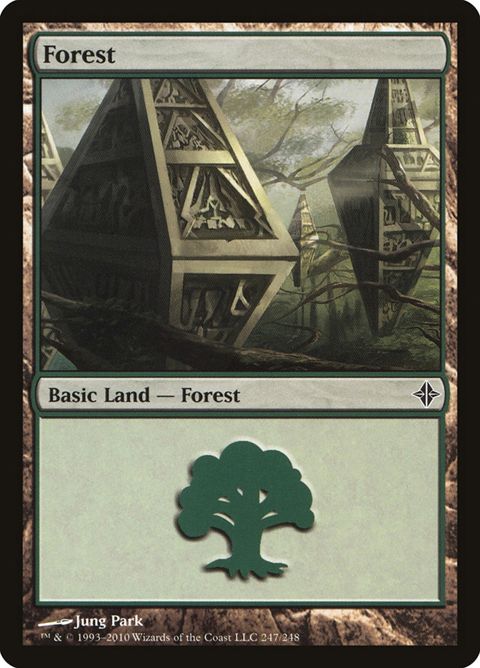 247-forest