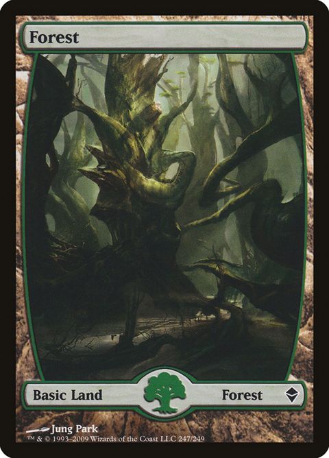 247-forest