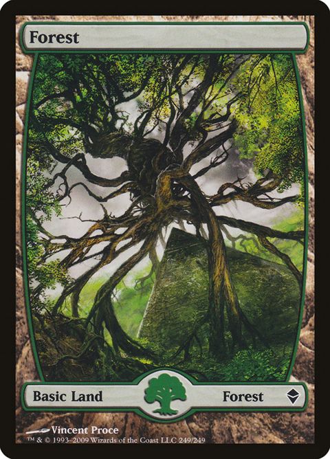 249-forest