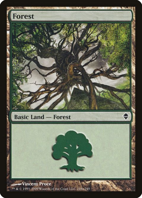 249a-forest