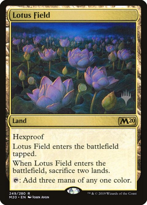 249p-lotusfield