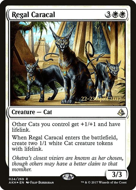 24s-regalcaracal