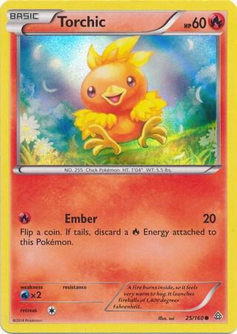 25-torchic-sheenholo