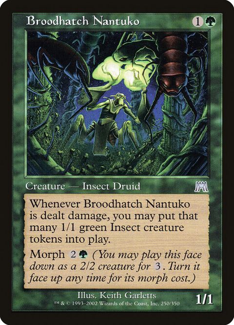 250-broodhatchnantuko