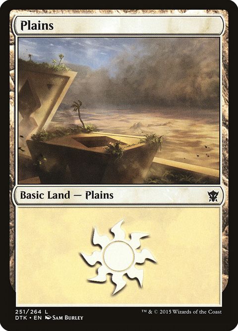 251-plains