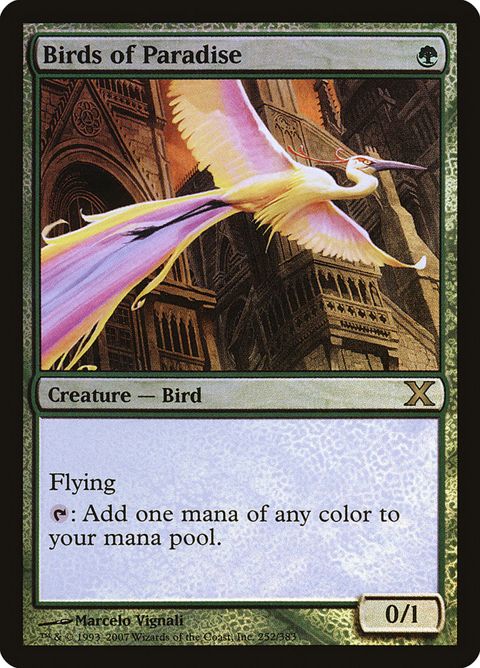 252★-birdsofparadise