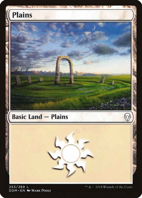 253-plains