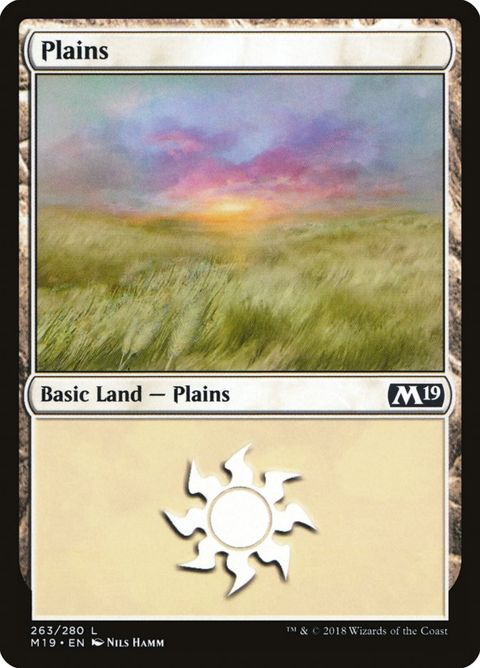 263-plains