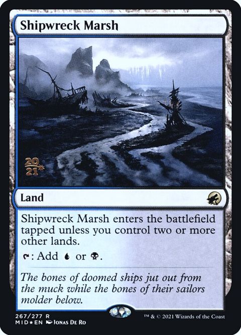 267s-shipwreckmarsh